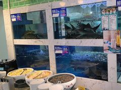 -蓉城鱼馆•活鱼现做(六道湾店)