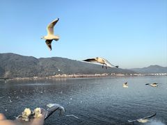 -海埂大坝