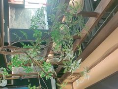 -滇铺子·云南特色菜·鲜花野菜季(曲靖万达店)
