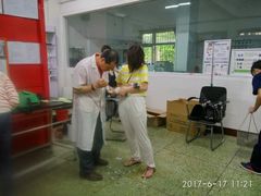 治疗室治疗狗的外伤-成都民大动物医院