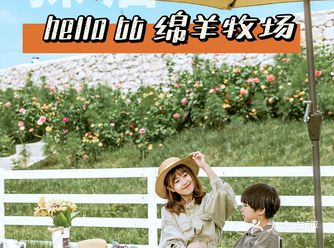 邯郸探店Ⅰ打卡邯郸首家绵羊牧场
