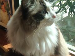 -咖法森林·咖啡  酒吧(天河店)