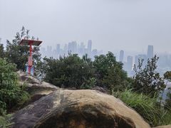 -南山植物园