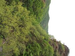 -邢台大峡谷