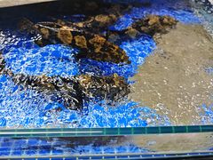 -登州市场(登州路店)