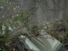 -怪咖·joker陈楠