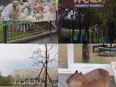 -盈香心动乐园