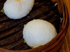 茨毛圆子-双塔老饭店