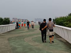 -飞凤山奥体公园