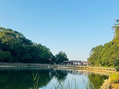 -广州市帽峰山景区