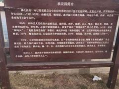 -桃花堤公园