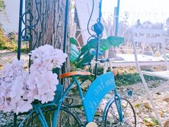 -安德鲁户外烧烤帐篷营地(马泉营店)