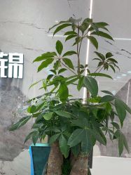 -LJOY丽锦造型·烫发染发