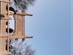 -紫金山山顶公园