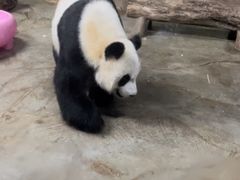 -海南热带野生动植物园