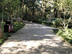 -杭州半山国家森林公园