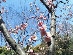 -复旦大学光华楼