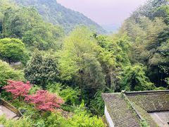 -韬光茶庵