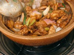 招牌胡须佬鸡煲-胡须佬鸡煲四季火锅店(石厦西村直营店)
