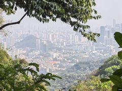 -点都德(广州白云山景区南门店)