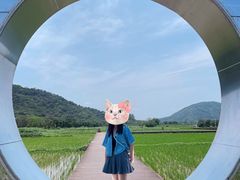-艾米稻香小镇