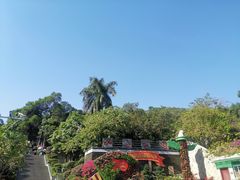 -仙岳公园