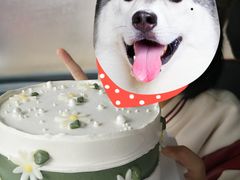 -昔木生日蛋糕(汉口店)