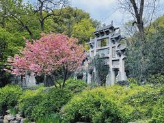 -惠山古镇·寄畅园