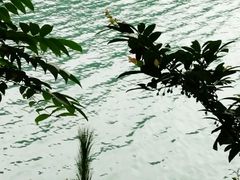 -石燕湖生态旅游景区