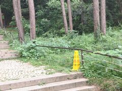 -苏州上方山国家森林公园