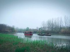 -溱湖国家湿地公园