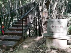 -宝岩生态观光园