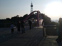 -金鸡山公园