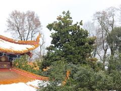 -岳麓山风景名胜区