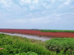 -红海滩国家风景廊道
