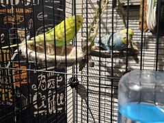 -鬼味烤翅(南锣鼓巷店)