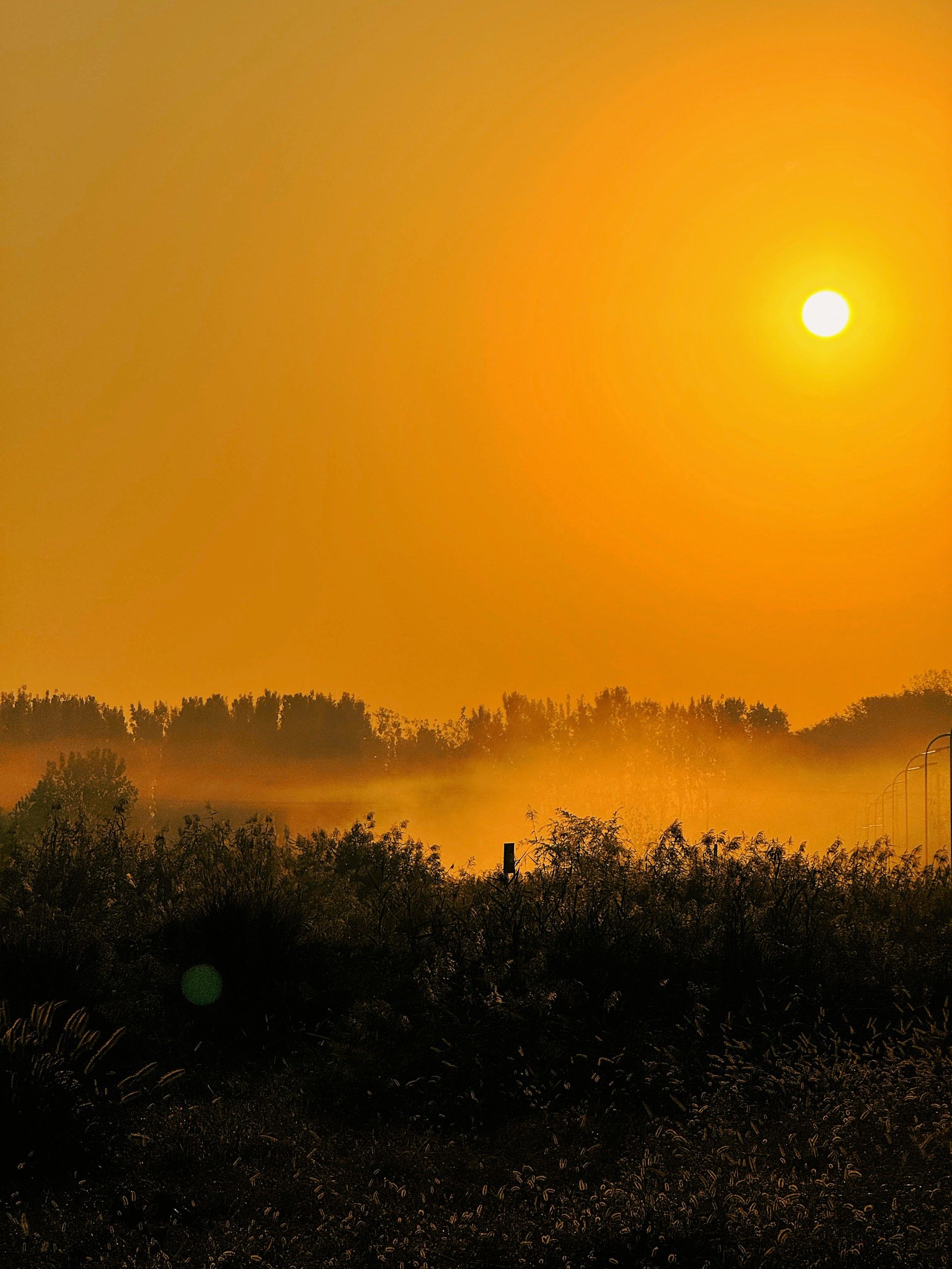 郑州秋天的早晨