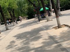 -莲湖公园