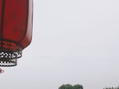 -白洋淀景区