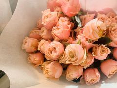 -循礼门鲜花花市(武汉循礼门店)