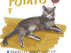 -平行世界·猫咖(首经贸店)