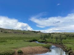 -塞罕坝国家级自然保护区