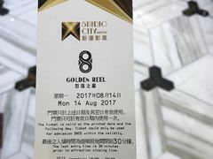 -影汇之星8字形摩天轮