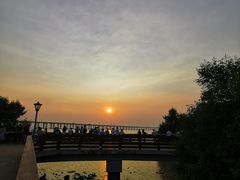 -宝安西湾红树林湿地公园