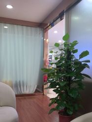 -武汉五洲整形外科医院