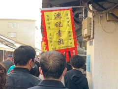 -沈记青团