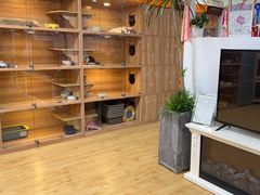 -喵百万·布偶·蓝金金渐层英短·猫舍(百子湾店)