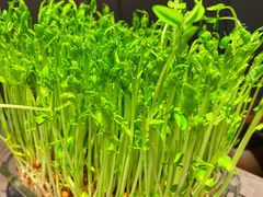-罗勒家·养生火锅· Bistro(大望路店)