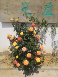 -圣露庄园·草坪婚礼·宴会厅·会议