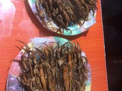 -十里铺铁板鱿鱼